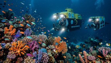 Marine biology research vessel studying deep-sea species in Indian Ocean