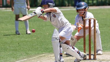 IPL 2026 - Cricket news