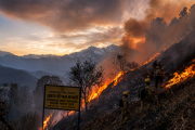 Uttarakhand Forest Fires: 160 Incidents Since November — Four Times Last Year — as Char Dham Yatra R