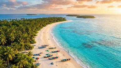 Aerial view of pristine Indian beach with turquoise waters and palm trees at golden hour