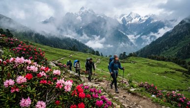 Trekkers on a Himalayan trail in Uttarakhand with blooming rhododendrons and misty mountain peaks