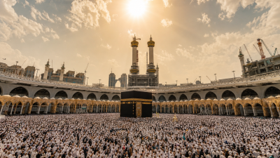 Climate change is making the Hajj pilgrimage deadlier. A new study warns May temperatures in Saudi A