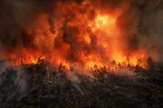 Record global wildfires 150 million hectares burned 2026