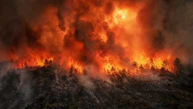 Record global wildfires 150 million hectares burned 2026