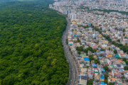 India landscape showing balance between development and environmental protection on World Environment Day 2026
