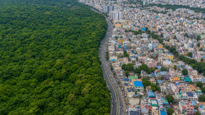 India landscape showing balance between development and environmental protection on World Environment Day 2026