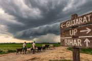 Monsoon Pushes North as IMD Forecasts Advance Into UP, Bihar and Gujarat
